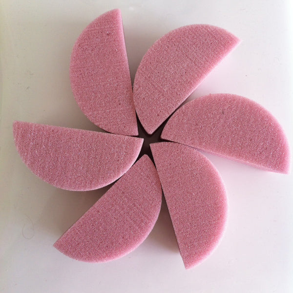 Always Wicked Art DARK PINK SPONGES x 6