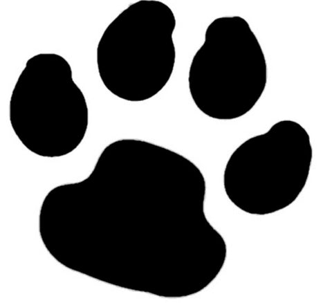 Paw Print TAG glitter tattoo stencil