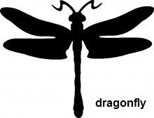 Dragonfly TAG glitter tattoo stencil