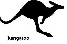 Kangaroo TAG glitter tattoo stencil