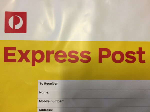 pay for EXPRESS shipping under 500gm
